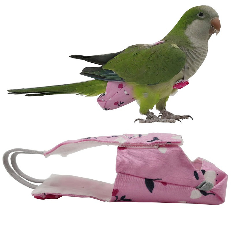 Plant Parenthood - Popok Burung Beo dengan Dasi Kupu-kupu